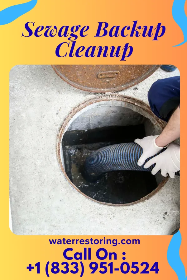 Sewage Backup Cleanup in Ardmore, AL